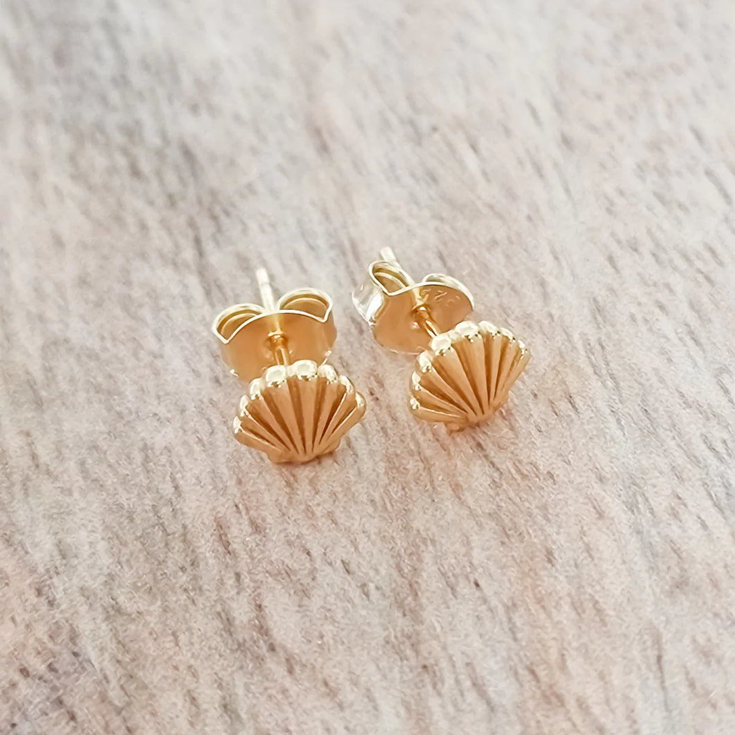 Shell stud earrings